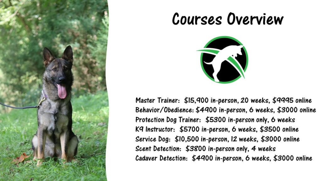 dog trainer courses